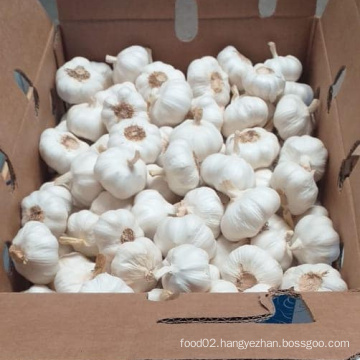 Sinofarm supply New Season Top Quality China Fresh Garlic Wholesale buy garlic cloves price per kilo